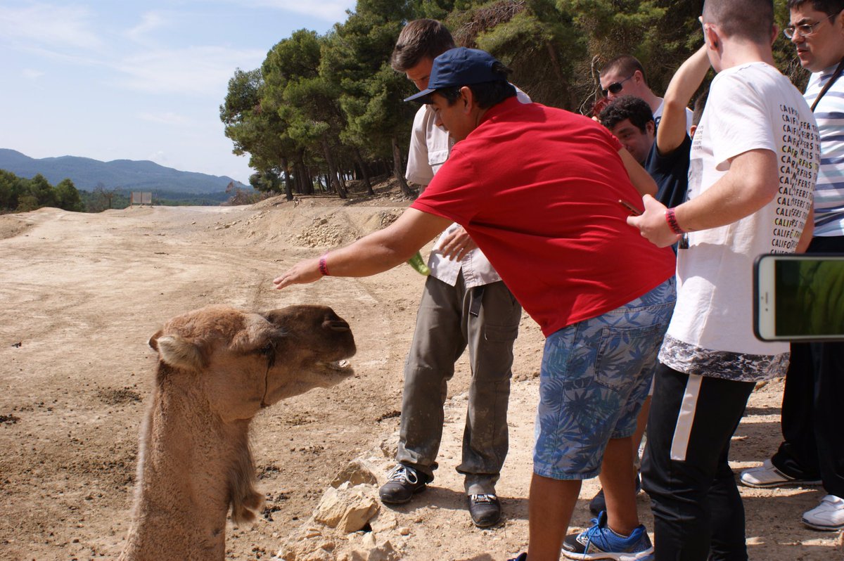 Aprosdeco visita #SafariAitana gracias a la subvención #DiputacionProvinciaAlicante que promociona el ocio y tiempo libre.