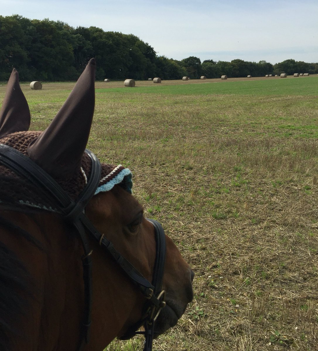 jumpstack's tweet image. Never get tired of the view 😍