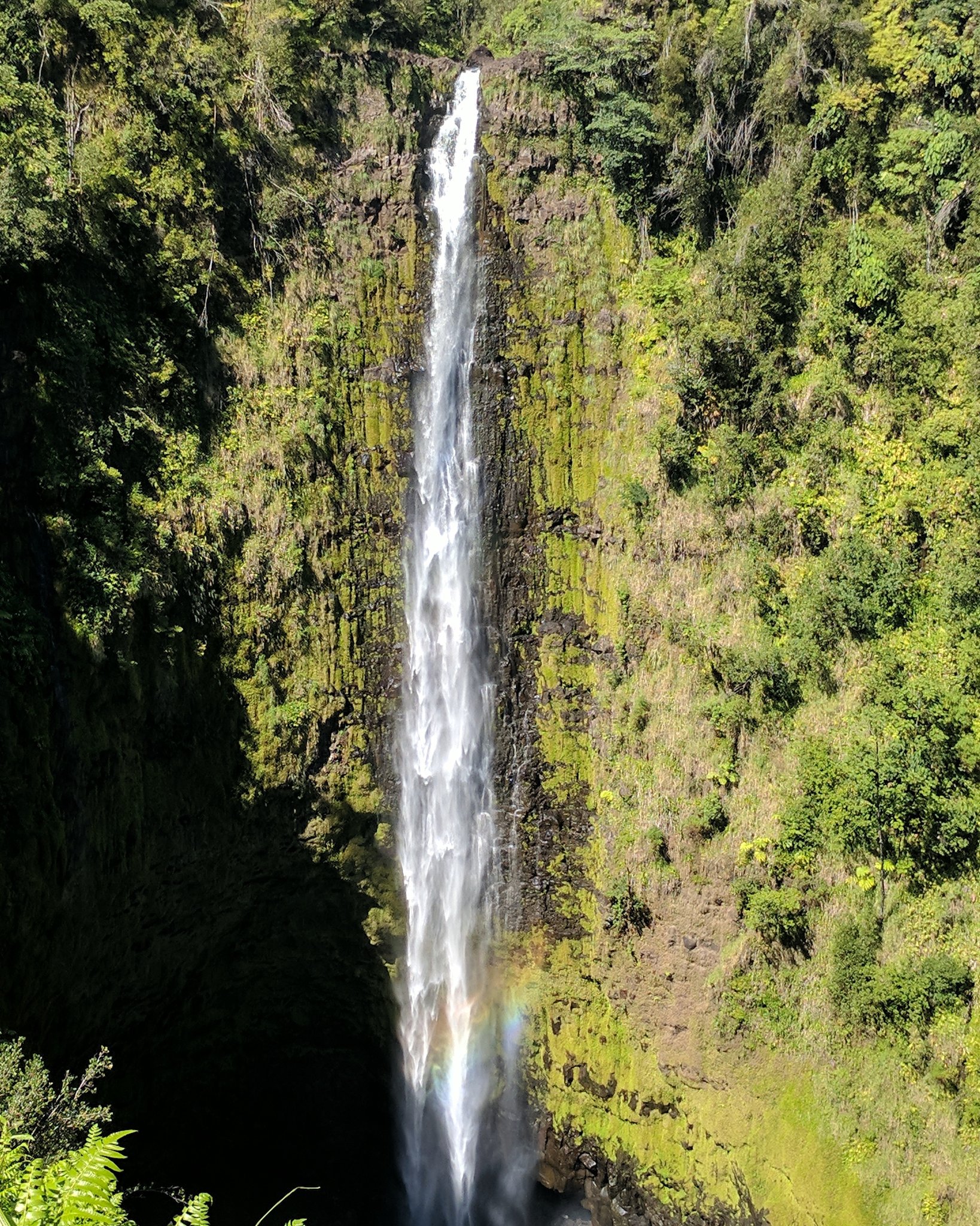 お見合いハワイomiai Hawaii Omiaihawaii Twitter