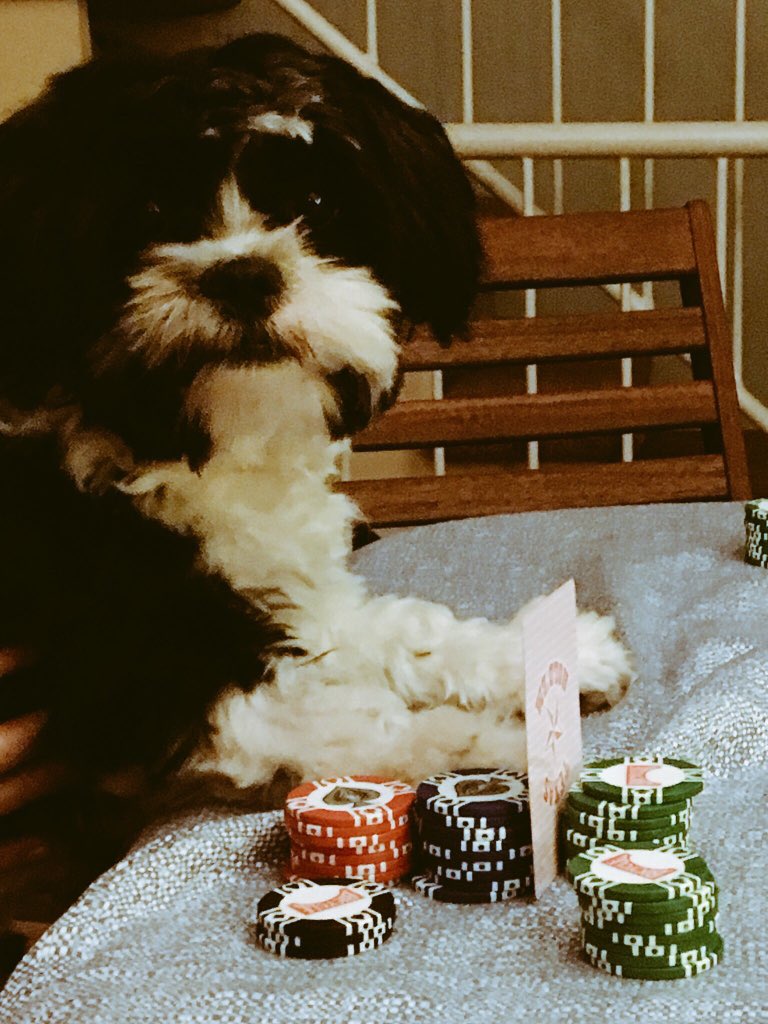 DPPNuit's tweet photo. @RUStudentLife @nuitblancheTO Don't forget us! https://t.co/GlZI4h0uZp