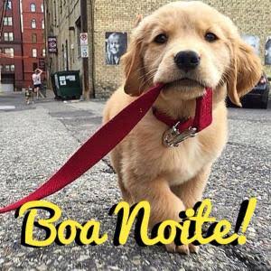 #BetaAjudaBeta 
#BetaSegueBeta 
#TimBeta 
#SDV  
#rt