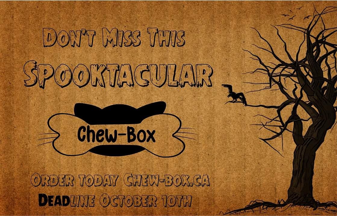 mychewbox's tweet photo. Get ready for our coolest and spookiest #chewbox yet! 🦇🎃 https://t.co/e7w85OB8oN