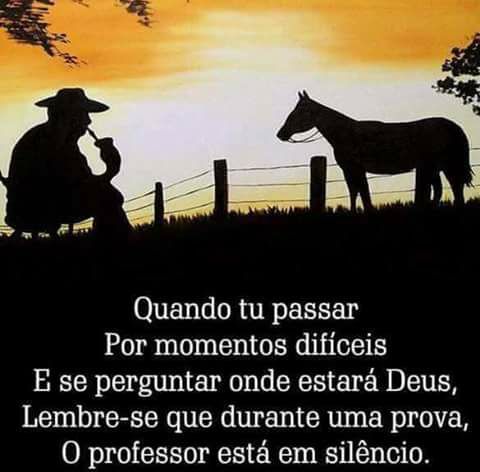 Frases de Cowboy e Cowgirl para Status e Facebook! 🐎