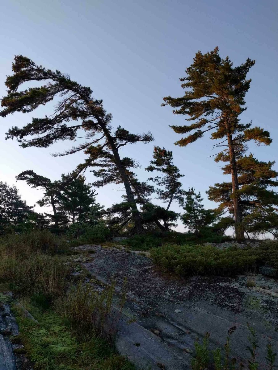 The winds of September blow mighty...