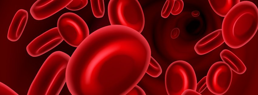 Caucasians donate about 70% of all blood. African American #SCD #transfusion patients can develop #antigens. Video: bit.ly/ITxM-FB