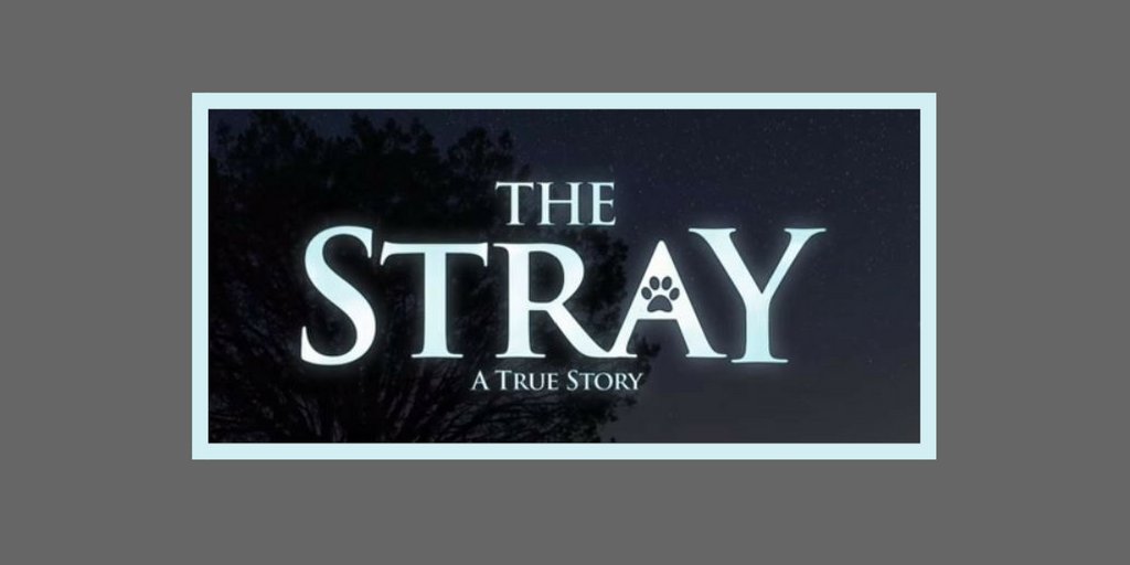 rushtoreason's tweet image. Mitch Davis' latest @TheStrayDogFilm in theaters on October 6th. He joins us on #RushToReason at 3:45pm MT Today bit.ly/R2RListenLive