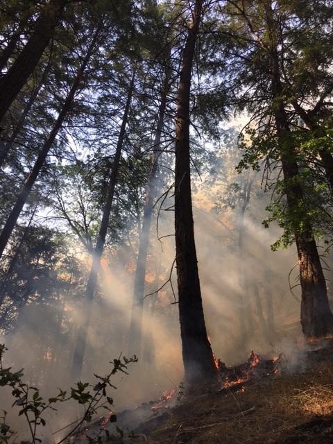 WildfiresUpdate's tweet image. #Helena-ForkFire #CA #CASHF bit.ly/2iLoT5g  Helena - Fork Fire: new maps have been uploaded to this incident