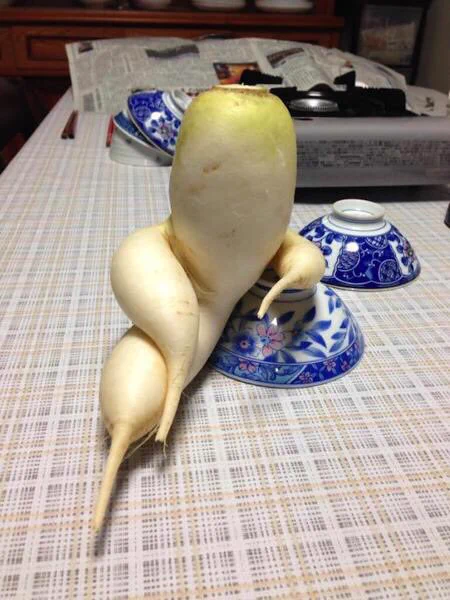 ただの野菜なのに取引してる気にｗ規格外の大根のフォルムが逸脱すぎる件ｗｗｗ