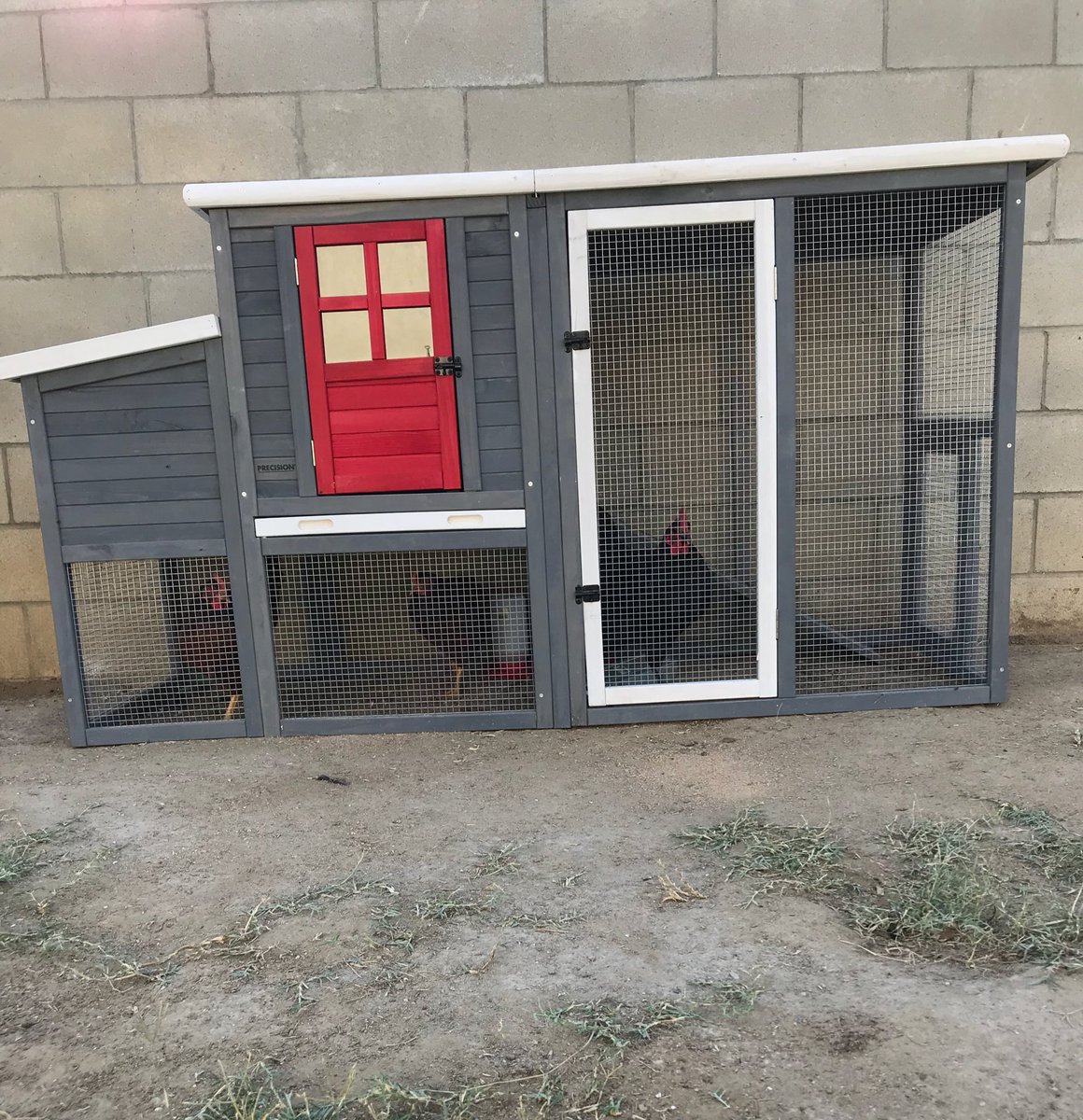 notamberarias's tweet photo. New coop for the chickens! They should be laying soon 🐣 #eggspecting https://t.co/ZpV0q3Uvjv