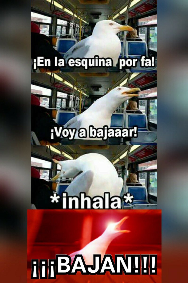 SenoraCatolica's tweet photo. Usar el transporte público siempre será PECADO. https://t.co/ivFygi4jad