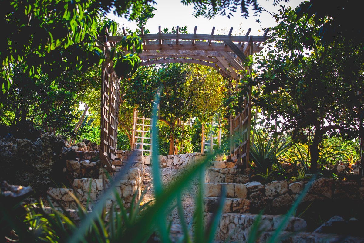 LeSoleildOr's tweet photo. The gateway to serenity https://t.co/7Ye1Pu9Egu