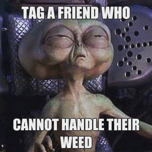 The laugh Hub tweet media