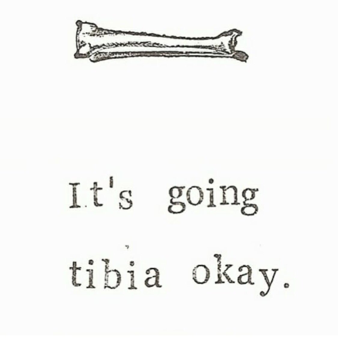 KaitLovesDogs's tweet image. #brokenleg #humor #tibfib