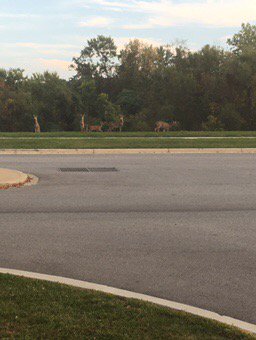 GriffAldrich's tweet photo. Walking to my car @umbc #amibackintexas https://t.co/CvVxvcTu3E