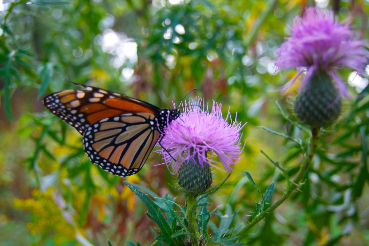 Evenpath2's tweet image. I see God...