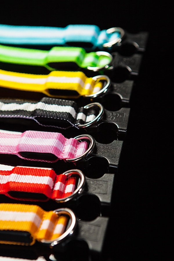GlowsticksLtd's tweet photo. 7 #glowing #LED colours to choose to pamper your #AussiePet (for just 6 bones - cheap)! ;-)
#dogsofsydney #dogsofmelbourne #dogsofadelaide https://t.co/LwudBmbTMb