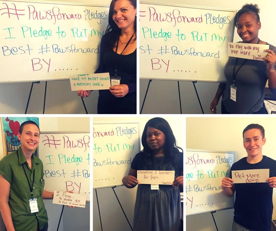 RedRoverOrg's tweet photo. Learn more about how you can help @SacWindYouth continue to put their best #pawsforward on 9/28: https://t.co/CB0ODcGdEp https://t.co/UnfnFu6bwW