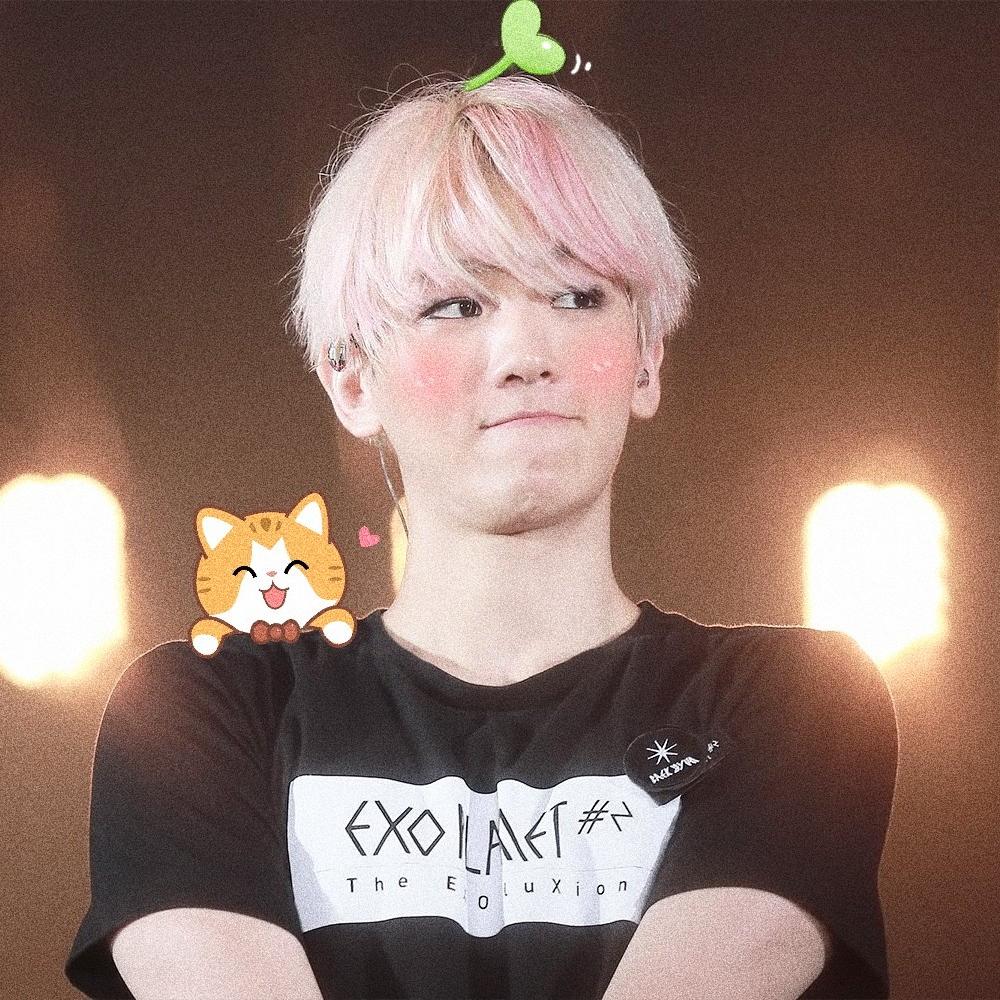 bbhsoftbot's tweet image. ↝ #변백현 #BAEKHYUN  ´͈ ᵕ `͈ ♡°◌̊