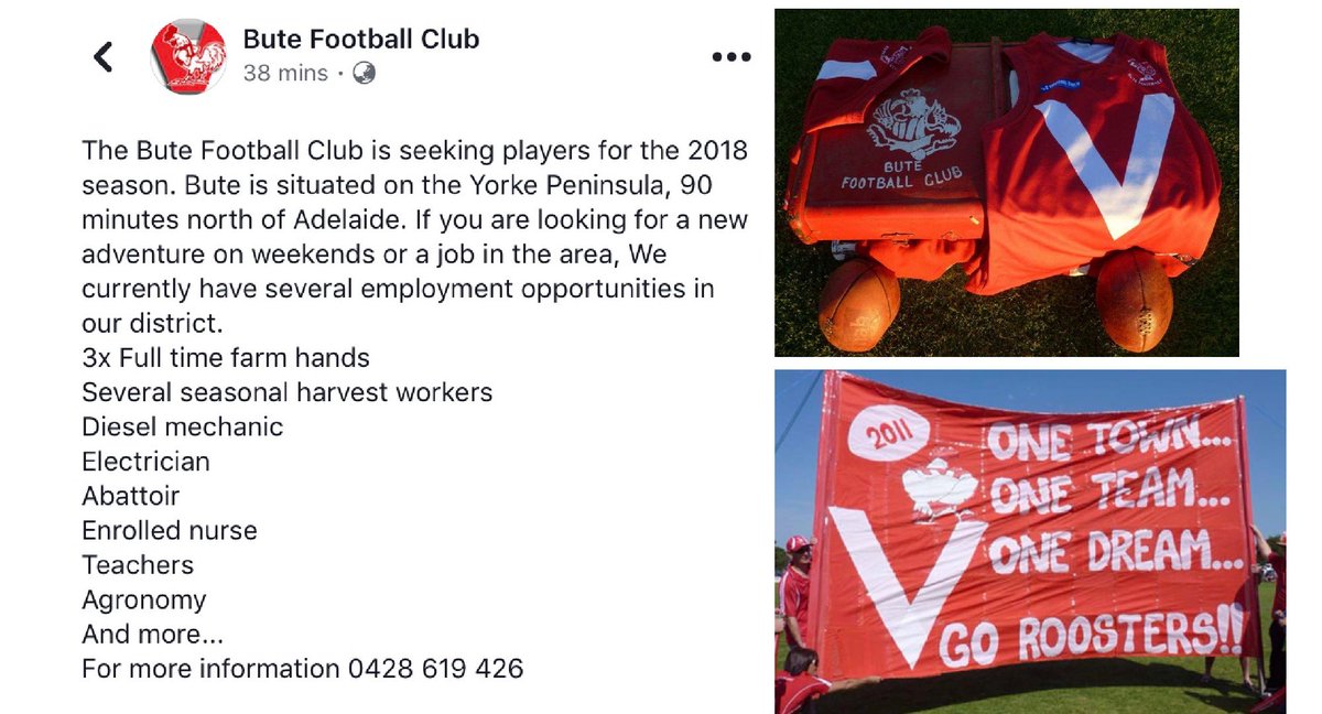 Thomas Price tweet media