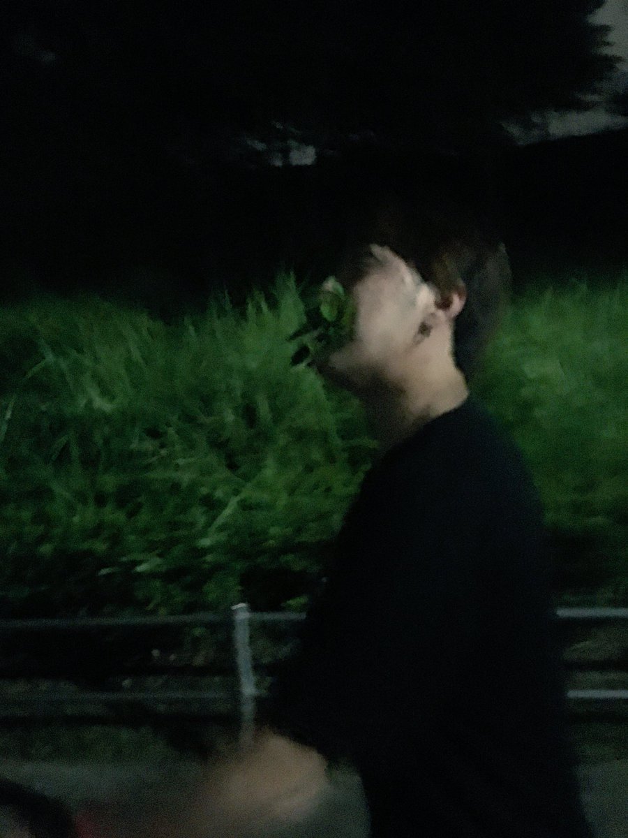 trys_ryuya's tweet photo. 草食ったこいつ https://t.co/XT3YGU5rAM