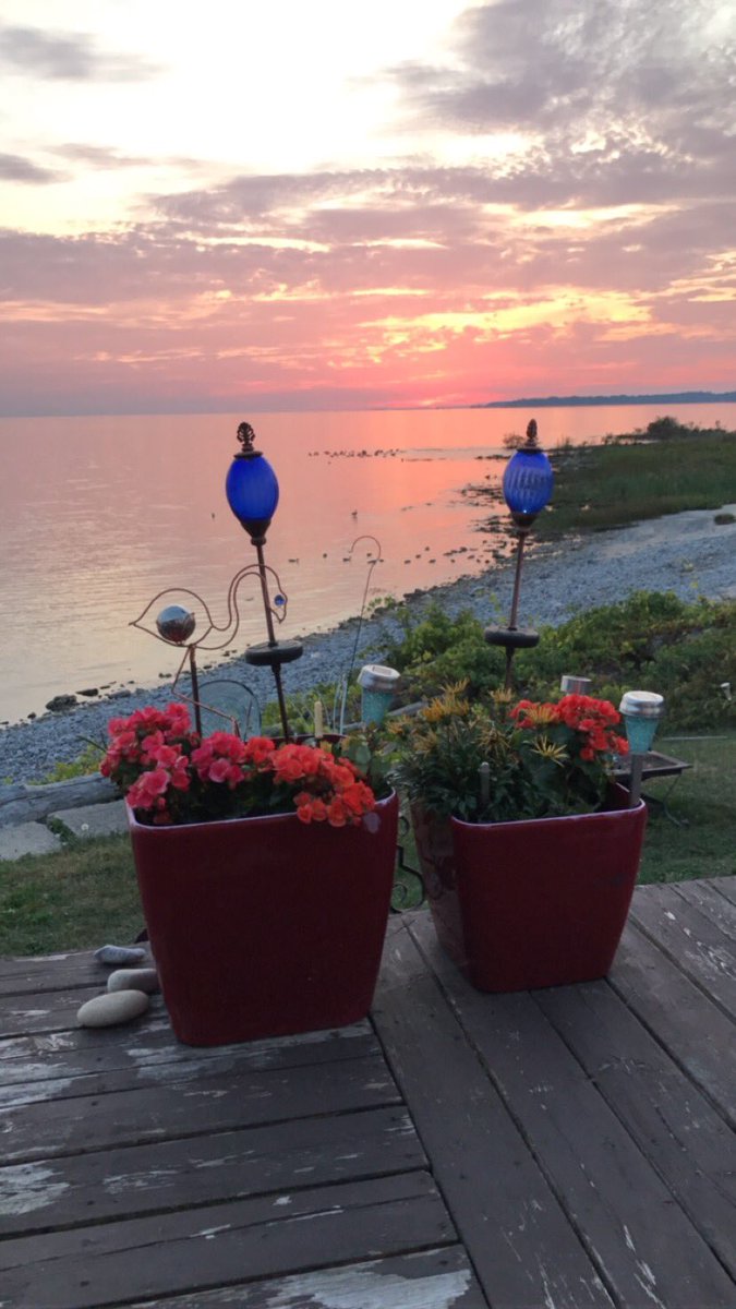 helenfilipe's tweet photo. September sunsets are my favorite 🌅😍#sunsetlover #birthdaygirl #celebratelife #portcolborne #sunsetcasa 🎂🎉🌻 https://t.co/ZcwIqYdFEK