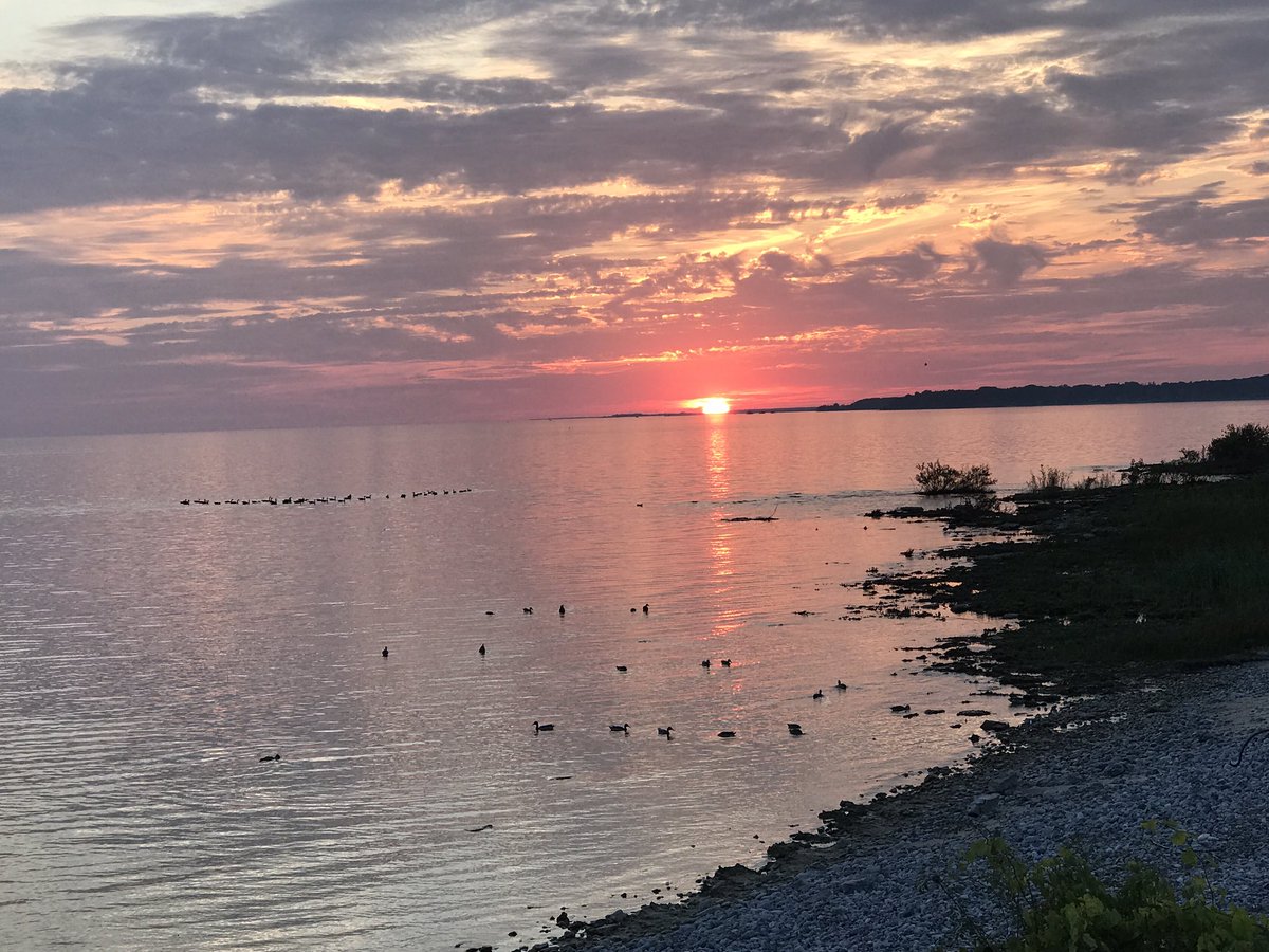 helenfilipe's tweet photo. September sunsets are my favorite 🌅😍#sunsetlover #birthdaygirl #celebratelife #portcolborne #sunsetcasa 🎂🎉🌻 https://t.co/ZcwIqYdFEK