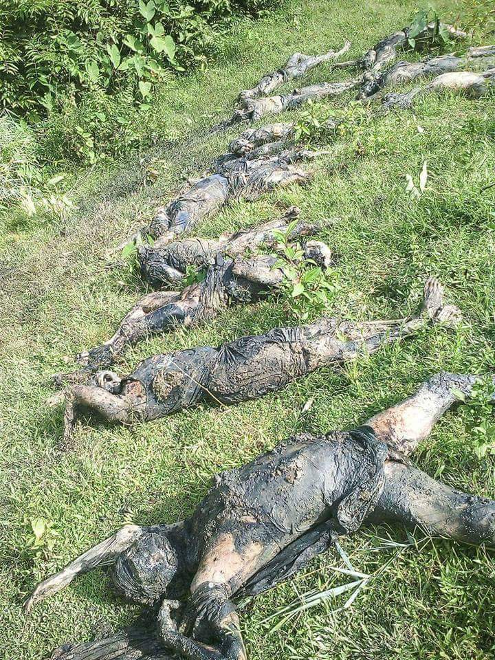 28 bodies were disvovered yesterday. Today 17 more bodies were found. There are 45 bodies of Hindus in all.