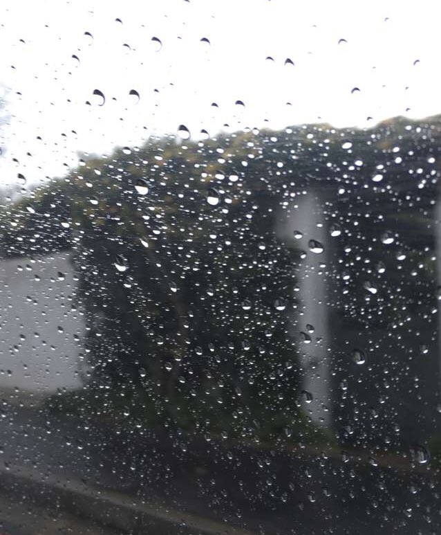 MegsGant's tweet photo. Did some flat work and jumping out in the rain today. The 2 Kyla’s and I are definitely not #fairweatherriders #equestrians https://t.co/BTJz9WeemZ