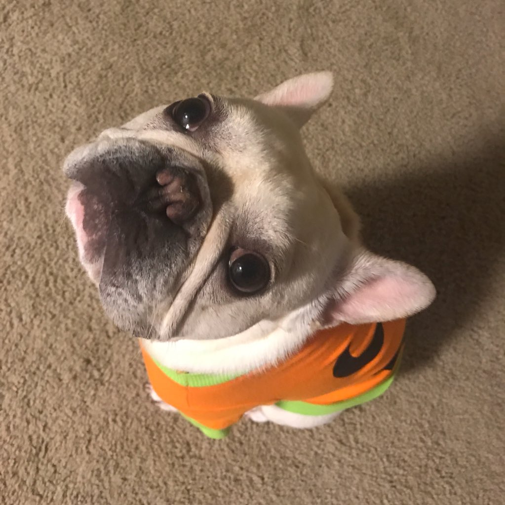 elyssa__ann's tweet photo. #NewProfilePic https://t.co/d5RPTR5Ff2