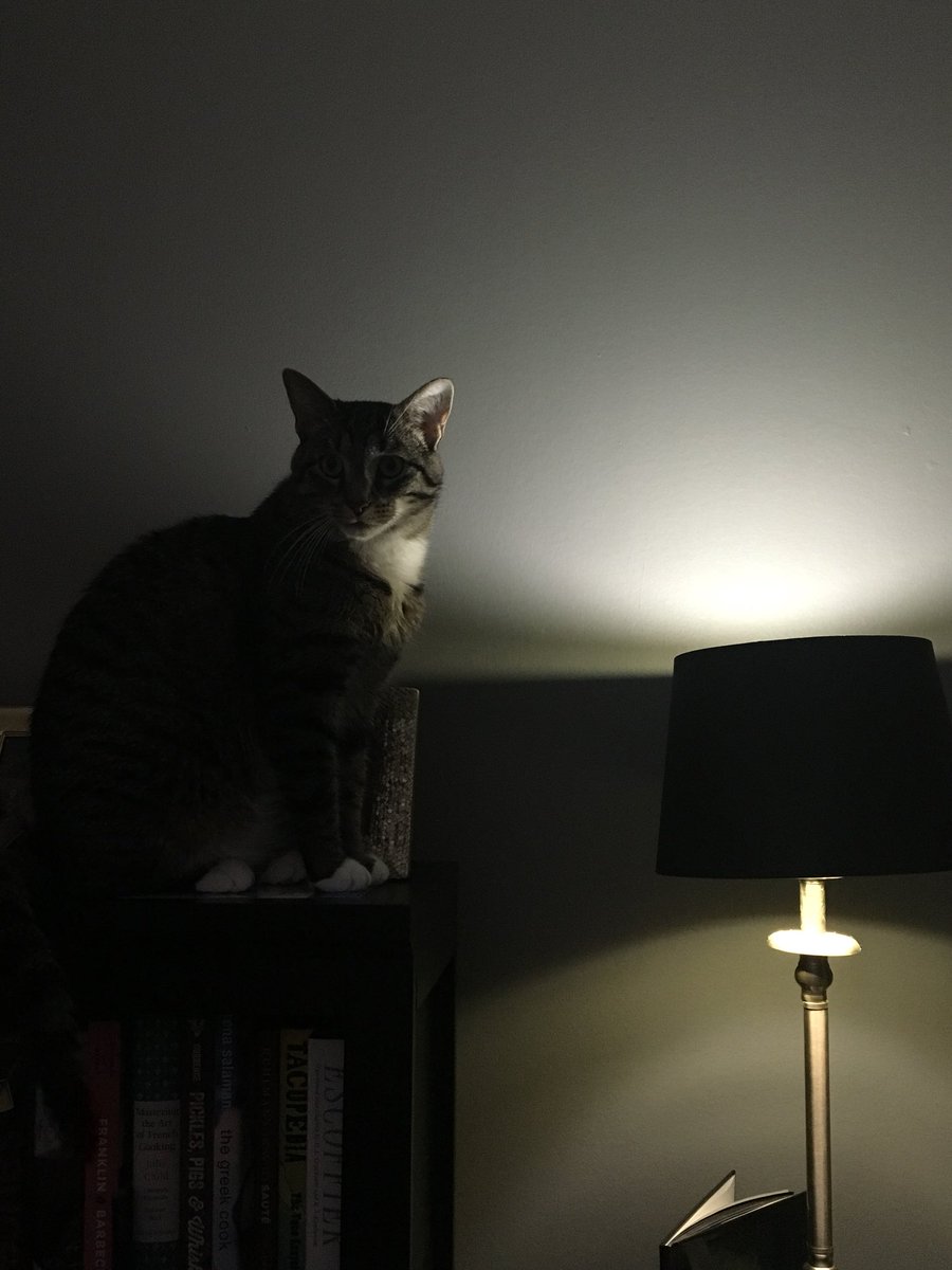 justinholata's tweet photo. He's the hero we deserve but not the one we need right now. So we'll hunt him Because he can take it He's a silent guardian A dark knight https://t.co/UkgRHsbiYn