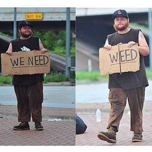 Marijuana Cannabis tweet media