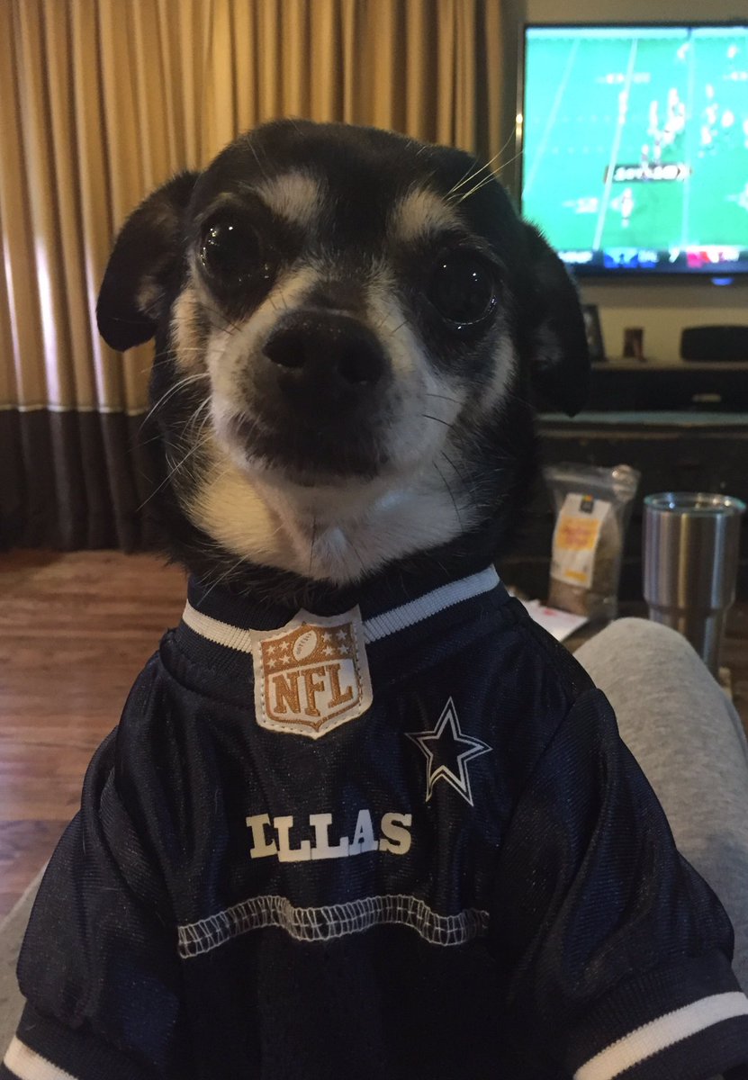 Maddie is doing her part to help <a href="/dallascowboys/">Dallas Cowboys</a>
