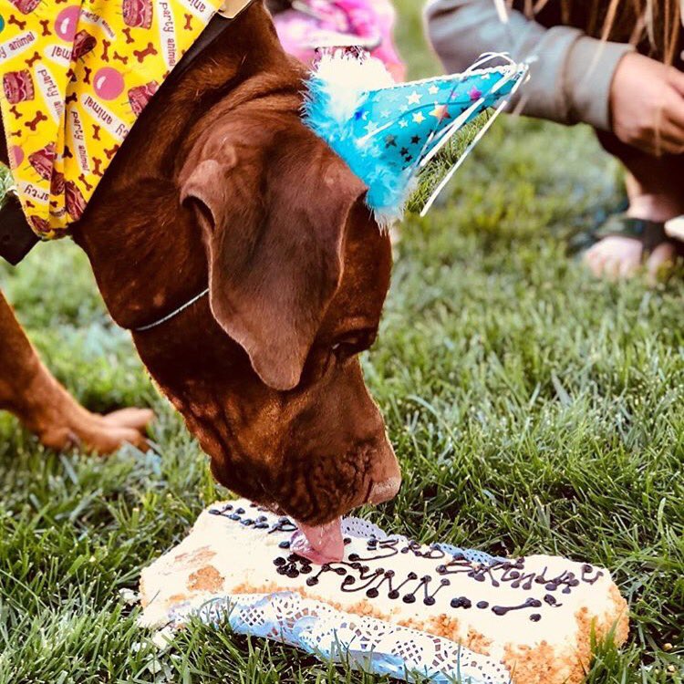 Happy Birthday Fynn! 

Insta PC: @katsuandfuku