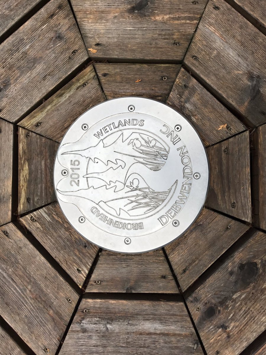 OlmsteadMcphail's tweet photo. @SargentParkSchl Indigenous Youth Leader Program at the Brokenhead Wetland Ecological Reserve #landbaselearning @WinnipegSD https://t.co/c5wKFkNiSj