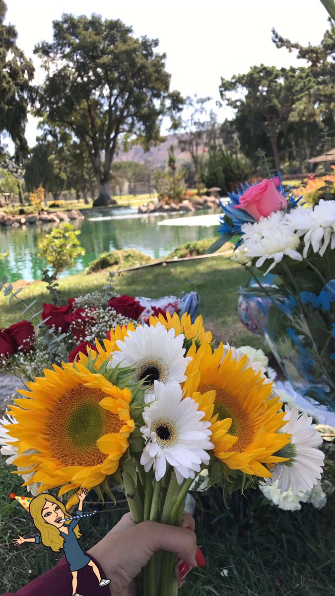 aleeemarieeee's tweet photo. Something about laying on the grass &amp; watching the clouds move brings me peace because I know you are right beside me,YOU ARE LOVED 🌻💐💛#HBD https://t.co/Ozu1fT01Wd
