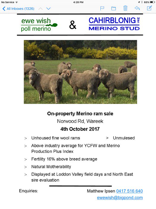 MatthewIpsen's tweet photo. Fine wool is back! And with more wool and more lambs, ewe wish you had some. @LSeears #merinorams https://t.co/CAOP8YBNgn