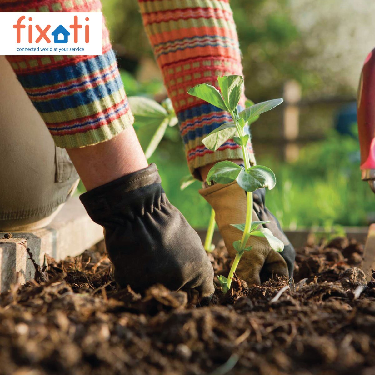 FixatiTweet's tweet photo. #Dubai nights are cooling down, fix your garden for great outdoor BBQ and gatherings to come, Download Fixati App and request a gardener https://t.co/tDoxdpvve2