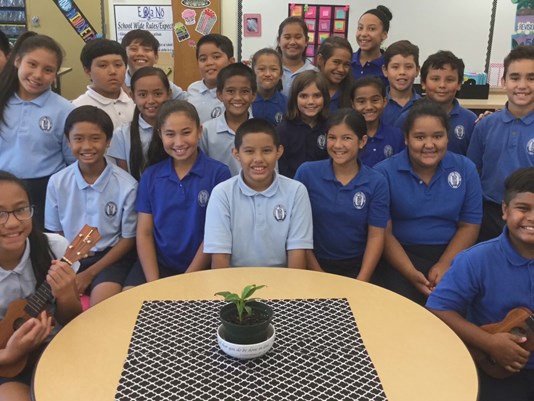 KHOU's tweet photo. Hawaiian fifth-graders write sweet song of support for Texas
https://t.co/sblf1xc1zM #khou #HurricaneHarvey https://t.co/B3iC5zRyPy