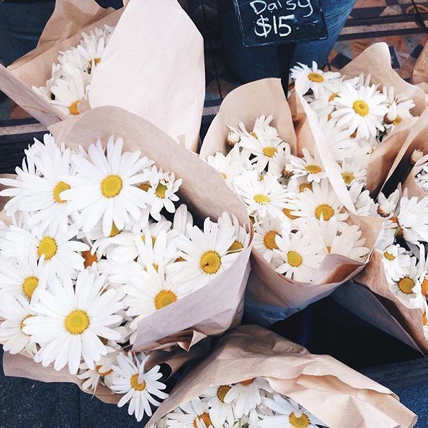 🌼 "I've always believed that one woman's success can only help another woman's success." - Gloria Vanderbilt
.
Ain… ift.tt/2xsNW3d