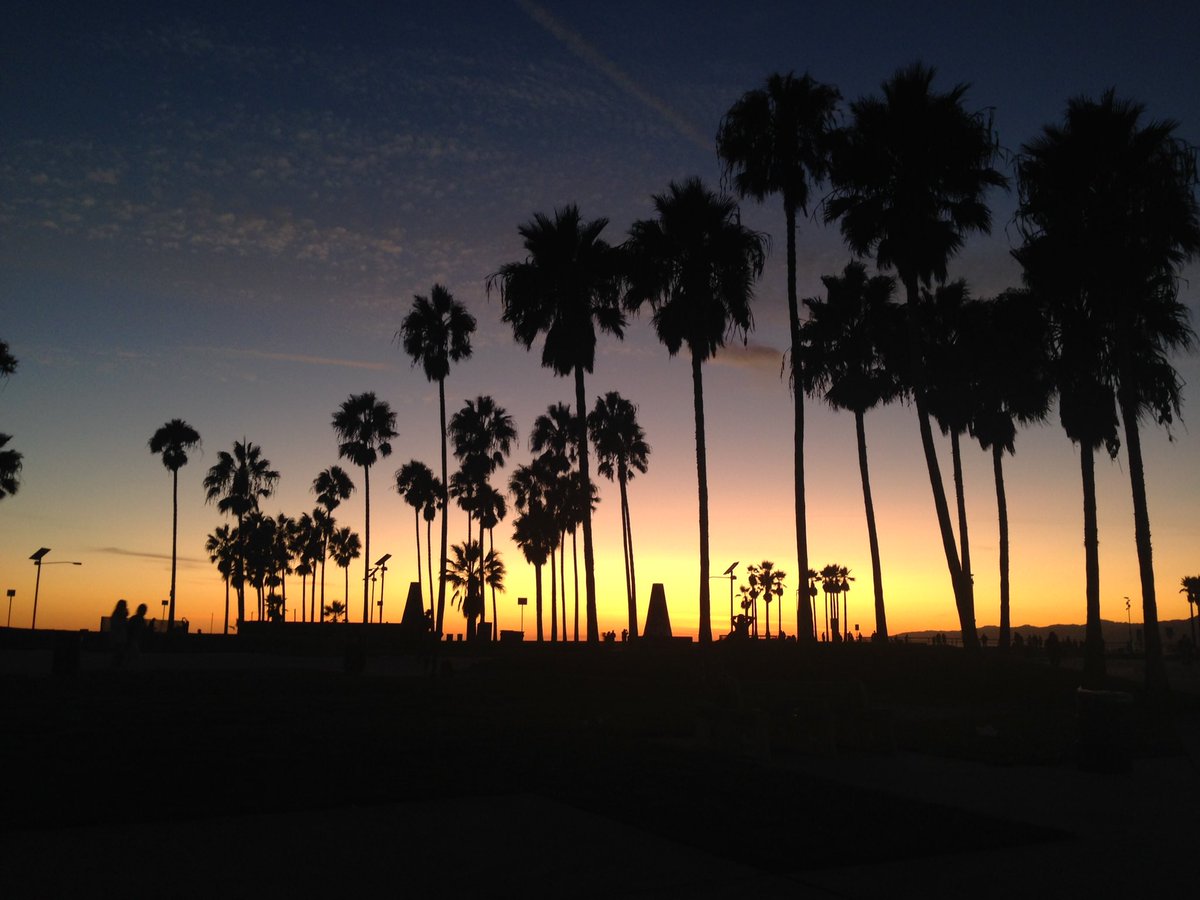 cherrybl0ndie's tweet photo. Traîner a venice beach et se surprendre à fredonner #madope de @nekfeu coïncidence? #jeresteicilesgars #tchaobandedenazes #californiadream https://t.co/Sn3IiIoWyf