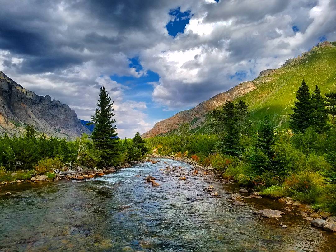 visitmontana tweet picture