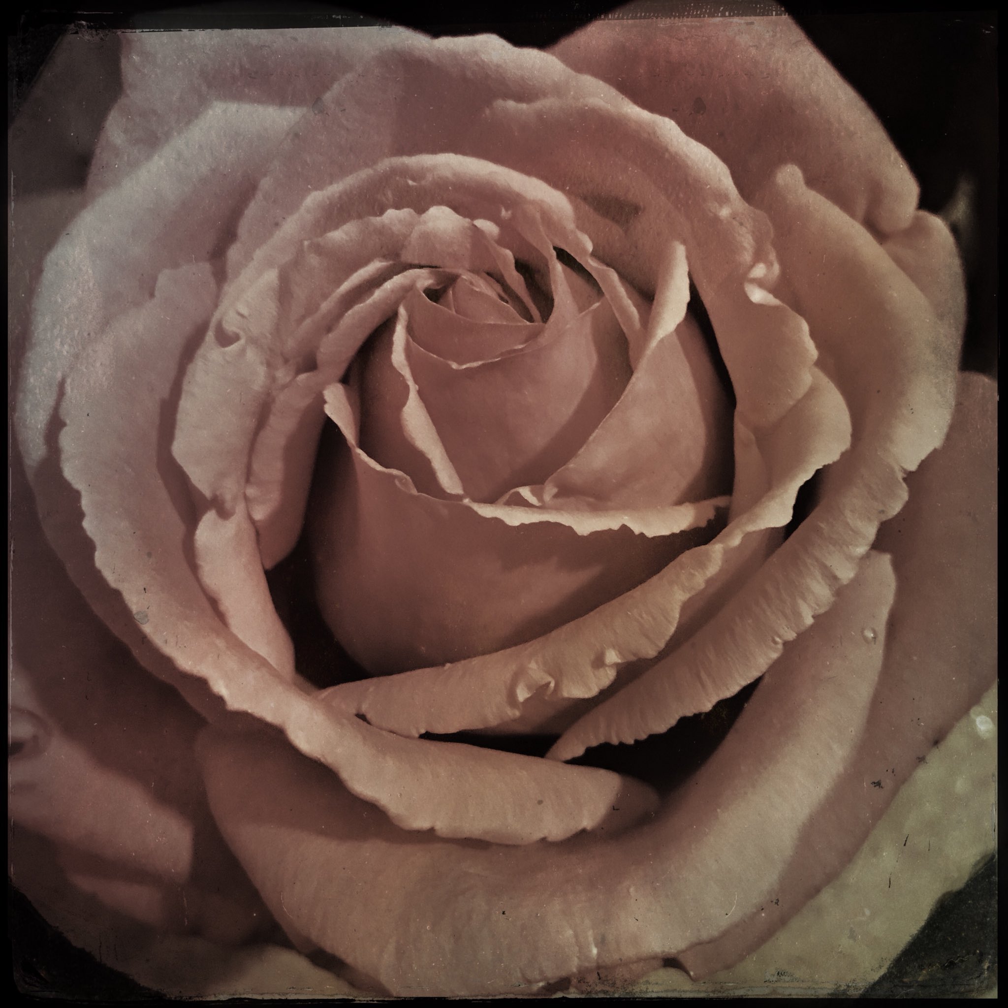  happy birthday to you! X 