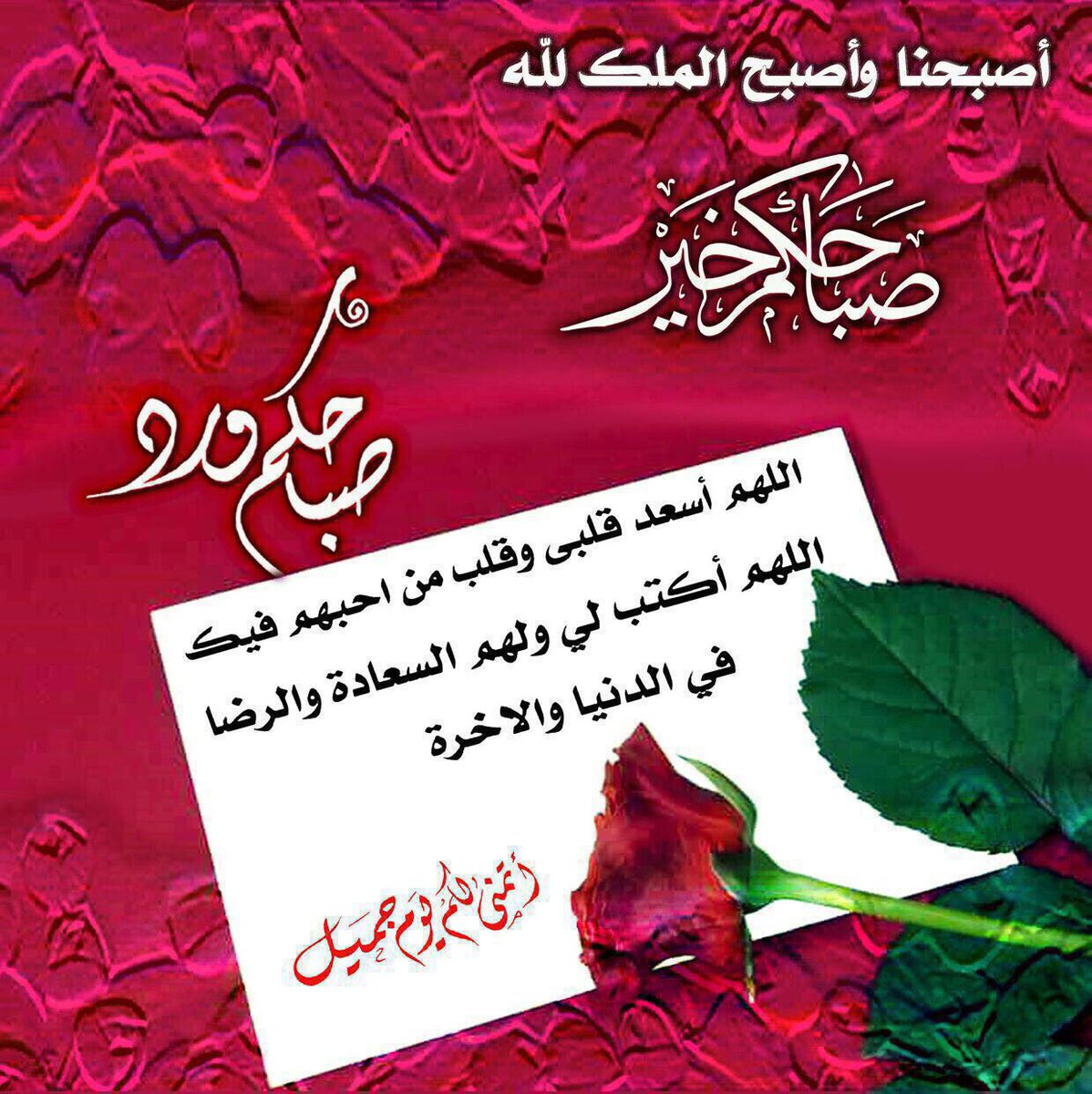 الشرمان (@ks0nfcux1mdsqjj) on Twitter photo 