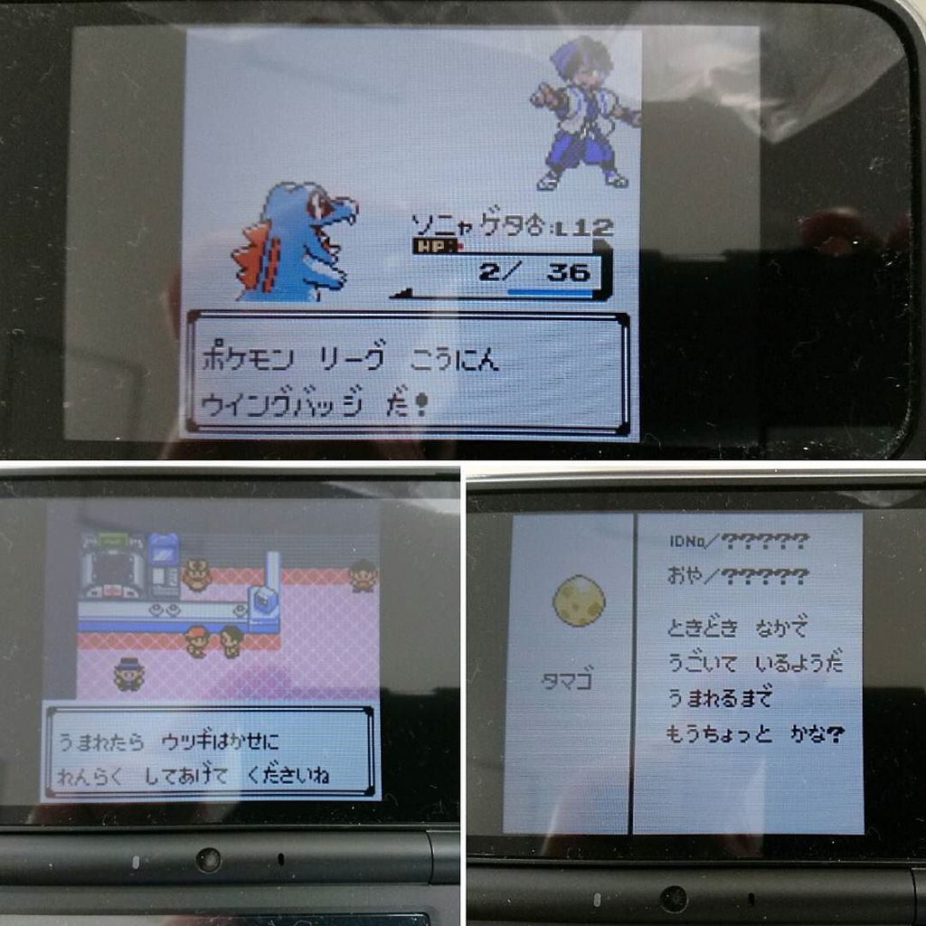 ポケモンのタマゴ