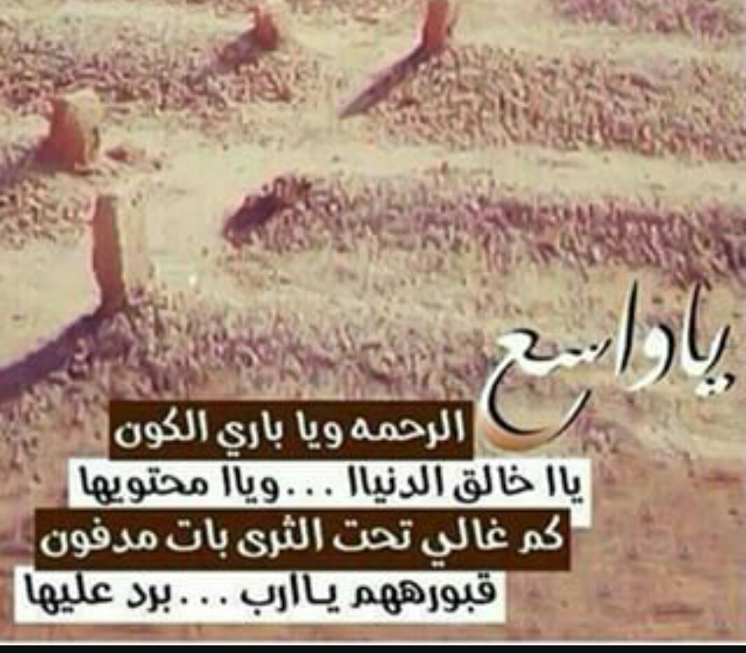 vip_____60's tweet photo. ⁧#قروب_راشد_للدعم⁩
⁧#قروب_سيمو_للدعم⁩
⁧#قروب_ريسوف_للدعم⁩
⁧#قروب_عمر_للدعم⁩
⁧#قروب_الليوث_للدعم⁩
⁧#كايد_الطير_للدعم⁩
⁧#قروب_السطور_للدعم⁩ https://t.co/YWQL00ydI6