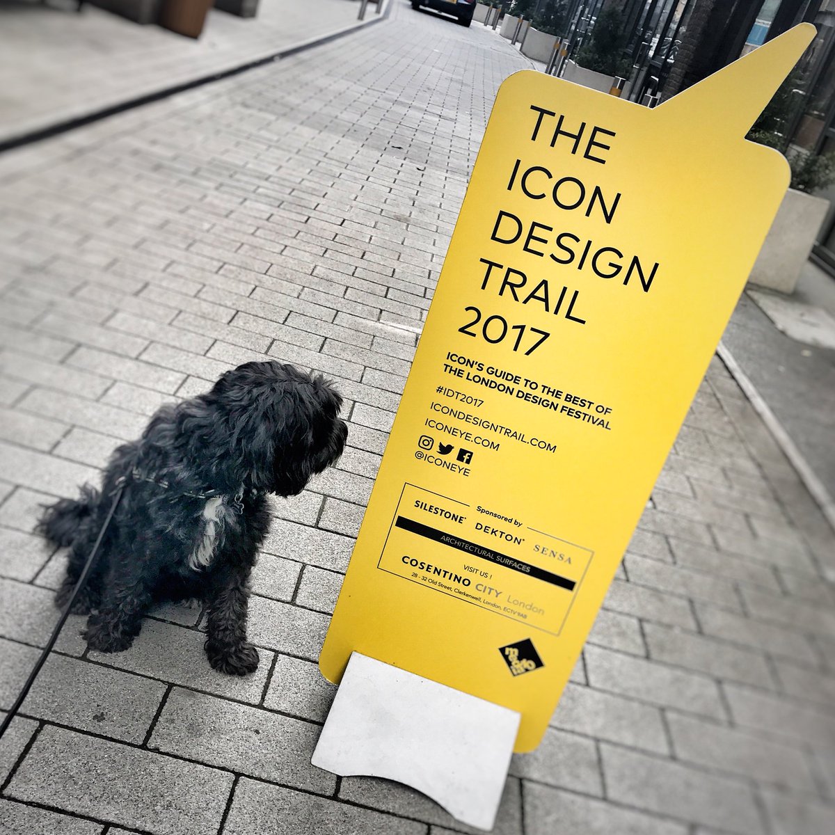 nicwordsworth's tweet photo. Stan on the design trail... ππΆπ #studiodog #icondesigntrail #sparestreet #hotelelephant #london #brandguardian #branding https://t.co/No87OwJJMp