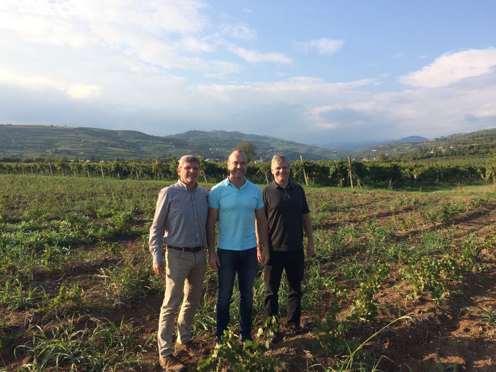 The team have been out inspecting the new AZ Terrapieno Pinot Grigio vines! Our growers are doing a fantastic job!