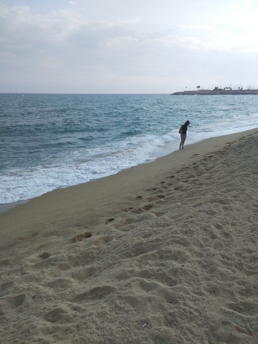 Enfrischend

#intercanviBC1718