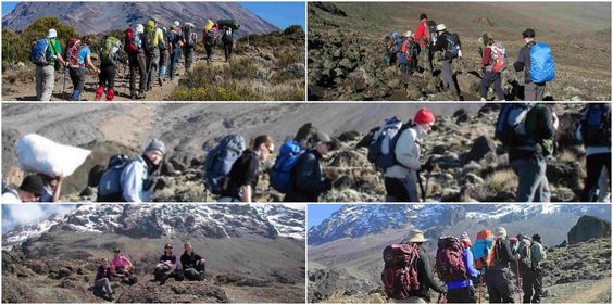 Trekili's tweet photo. Clients are happy enjoying Trekking  accrossing #Shira on using #LemoshoRoute. 
https://t.co/YklZwY9Vzh https://t.co/abFV4GsogJ