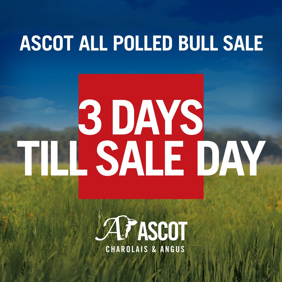 Our Annual On-Property sale is now only 3 days away.
We are looking forward to seeing you there.
For info bit.ly/2yu72DE